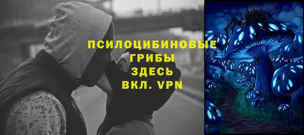 ешки Лабытнанги