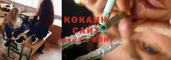 крисы Лагань