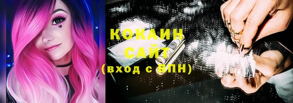 крисы Лагань