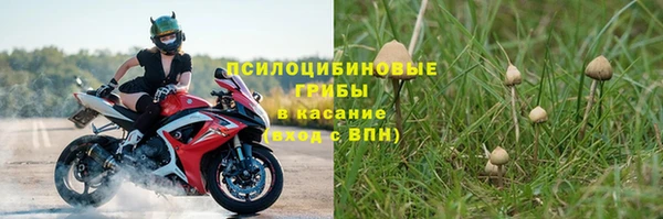ешки Лабытнанги