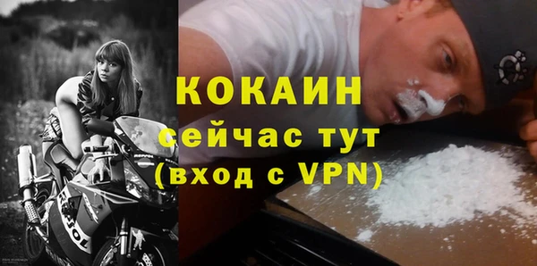 крисы Лагань