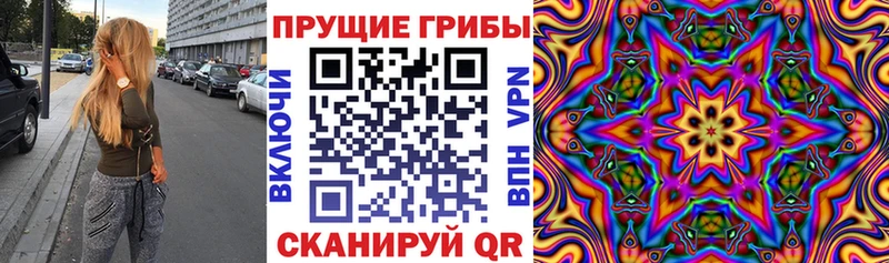 Псилоцибиновые грибы Psilocybe МЕГА маркетплейс Дзержинский