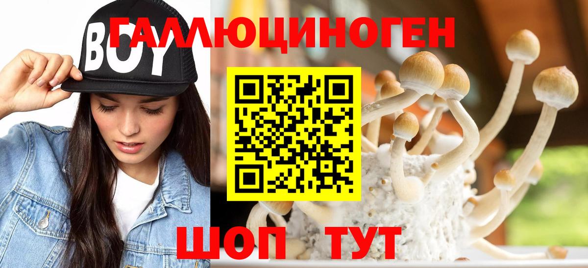 Галлюциногенные грибы прущие грибы Дзержинский